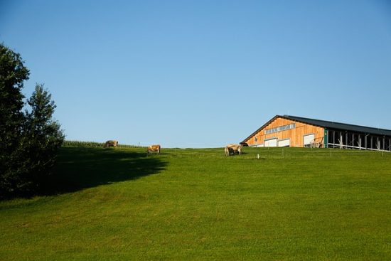 Società Agricola Milani: focus sull’azienda