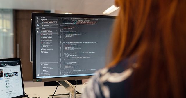 Sviluppo software